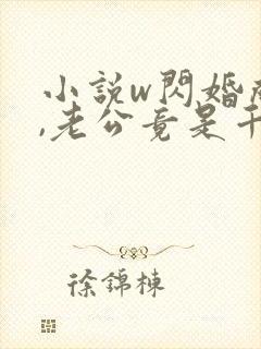 小说w闪婚成宠,老公竟是千亿大佬》