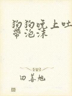 狗狗晚上吐黄水带泡沫