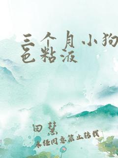 三个月小狗吐白色粘液