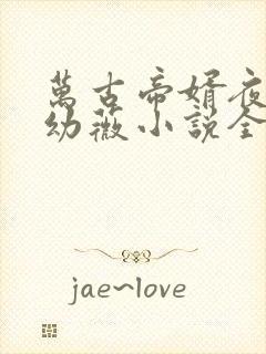 万古帝婿夜玄周幼薇小说全集txt