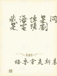 藏海传是网剧还是电视剧