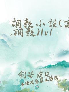 调教小说(高h,调教)1v1