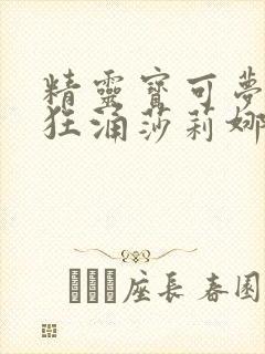 精灵宝可梦小智狂涌莎莉娜