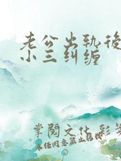 老公出轨后回归小三纠缠