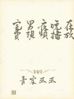 宅男夜晚在线免费视频播放