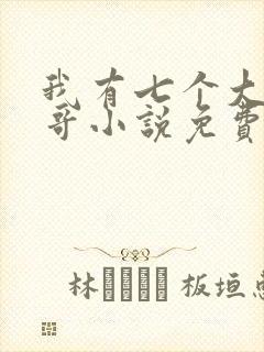 我有七个大佬哥哥小说免费阅读无弹窗
