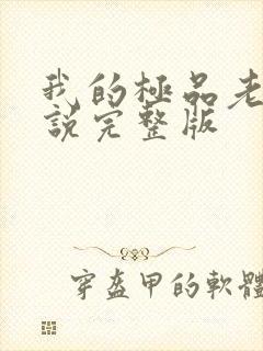 我的极品老婆小说完整版