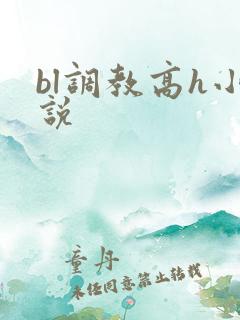 bl调教高h小说