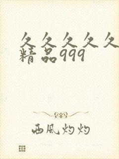 久久久久久国产精品999