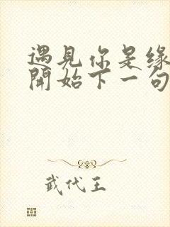 遇见你是缘分的开始下一句是什么