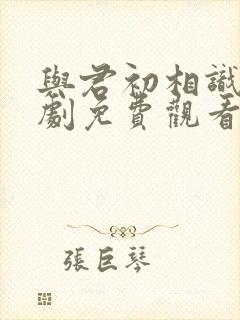 与君初相识电视剧免费观看全集