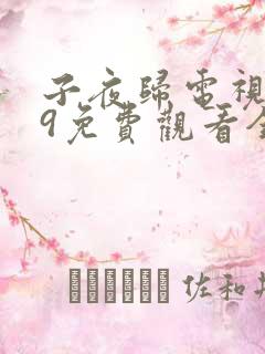 子夜归电视剧29免费观看全集高清