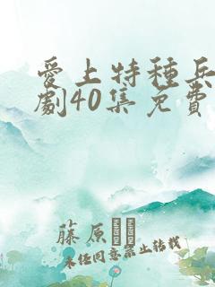 爱上特种兵电视剧40集免费观看