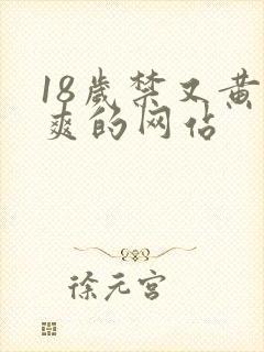 18岁禁又黄又爽的网站
