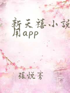 新天禧小说网专用app