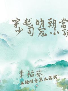 穿越明朝当皇帝 少司寇小说