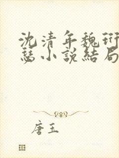 沈清年魏珩沈清瑟小说结局