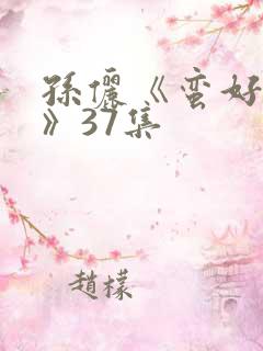 孙俪《蛮好人生》37集