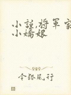 小说,将军家的小娇娘
