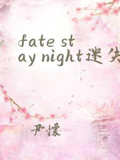 fate stay night迷失之蝶