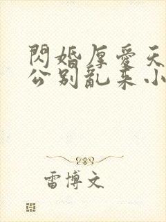 闪婚厚爱天价老公别乱来小说