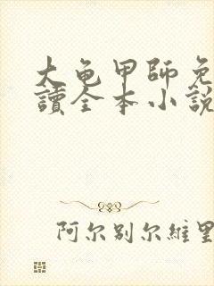 大龟甲师免费阅读全本小说