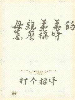 母亲弟弟的儿子怎么称呼