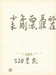 少年白马醉春风未删减版在线观看