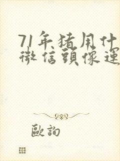 71年猪用什么微信头像运气好