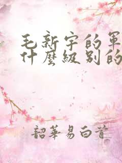 毛新宇的军衔是什么级别的