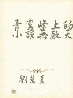 青鸾峰上的全部小说无敌天命