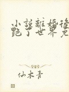 小说离婚后她惊艳了世界免费阅读