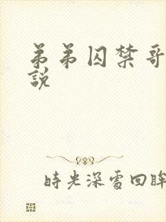 弟弟囚禁哥哥小说