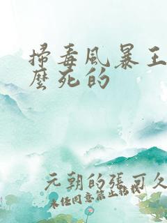 扫毒风暴王林怎么死的