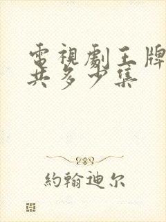 电视剧王牌部队共多少集