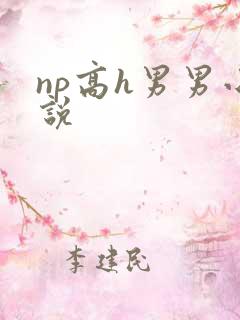 np高h男男小说