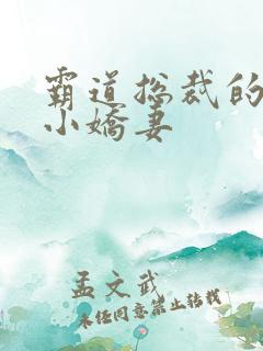 霸道总裁的甜宠小娇妻