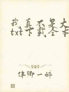 我真不是大明星txt下载全本