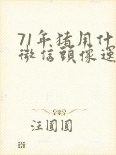 71年猪用什么微信头像运气好