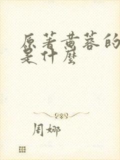 原著黄蓉的结局是什么