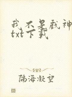 我不是戏神免费txt下载