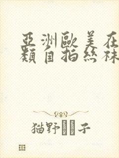 亚洲欧美在线另类自拍丝袜