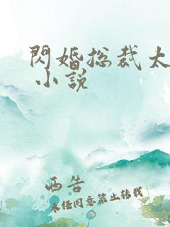 闪婚总裁太霸道 小说