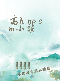 高h np sm小说