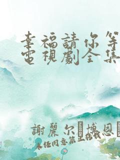 幸福请你等等我电视剧全集免费观看手机