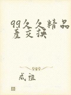 99久久精品国产交换