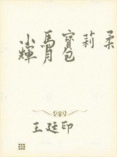 小马宝莉柔柔 辉月包
