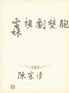 电视剧双胞胎姐妹