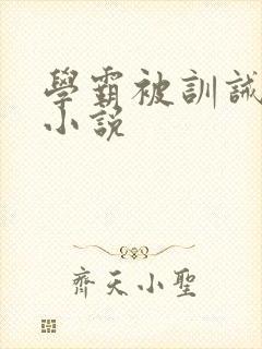 学霸被训诫挨打小说