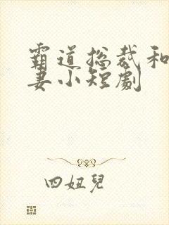 霸道总裁和小娇妻小短剧